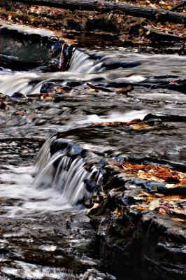 Dsc_1337--