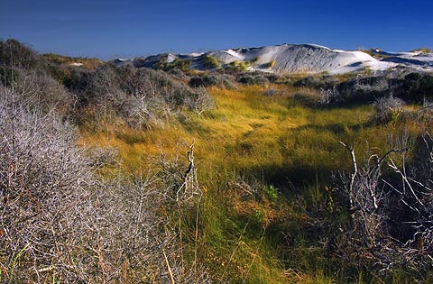 Cape Hatteras4