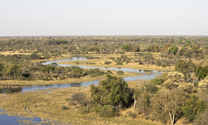 Okavanga Delta