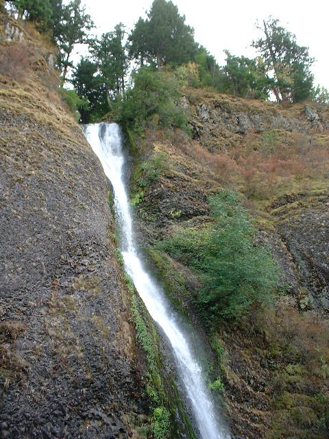 DSCF0171.JPG