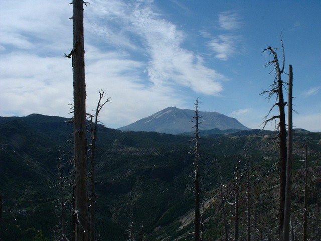 DSCF0193.JPG