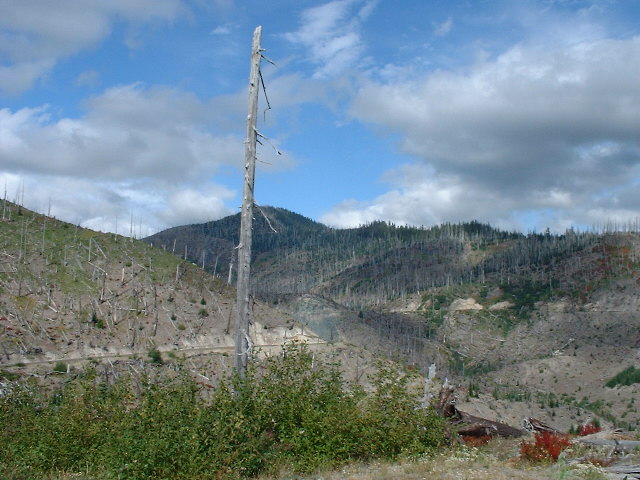 DSCF0231.JPG