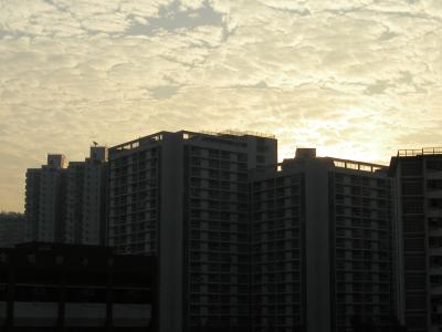 P2110027.JPG