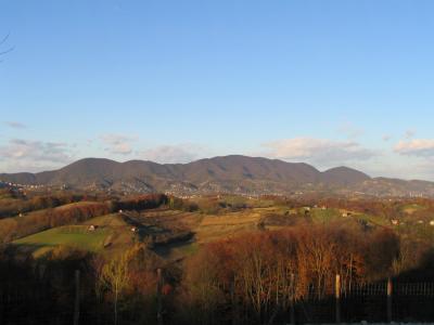 IMG_1551.JPG