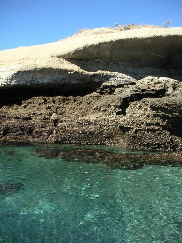 Fossils in the rocks