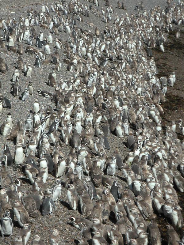 Crowded beach