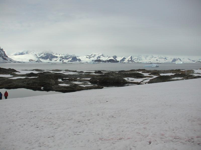 ... Argentine Islands >>>
