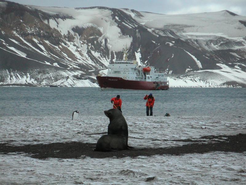 Fur seal watching a penguin & expedition staff