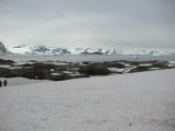 ... Argentine Islands >>>