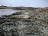 Seal outside