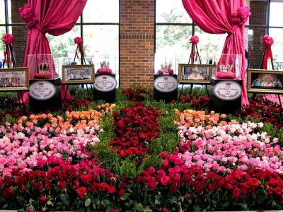 Rose Display