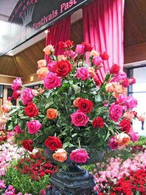 Roses