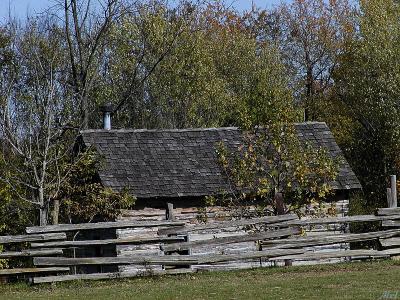 Cabin in the woods.jpg