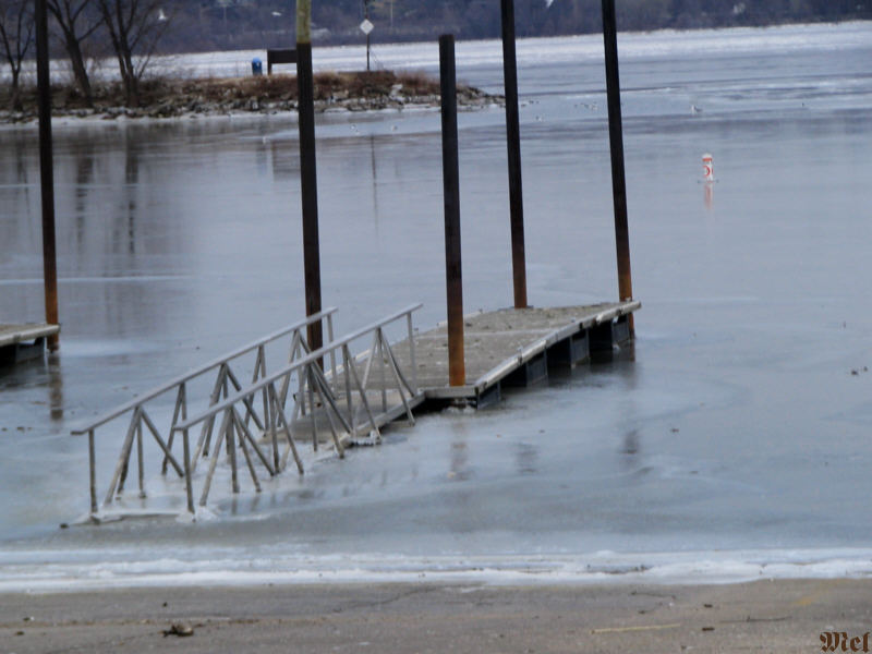 Ice on the IL river.jpg(523)