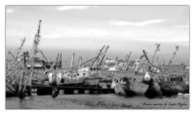 Barcos Muertos by Sergio Rojkes.jpg