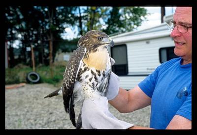 HawkRelease-2004-12.jpg