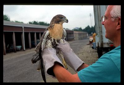 HawkRelease-2004-13.jpg