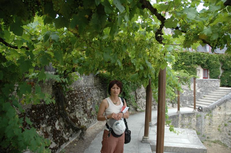 Dsc_0080.jpg