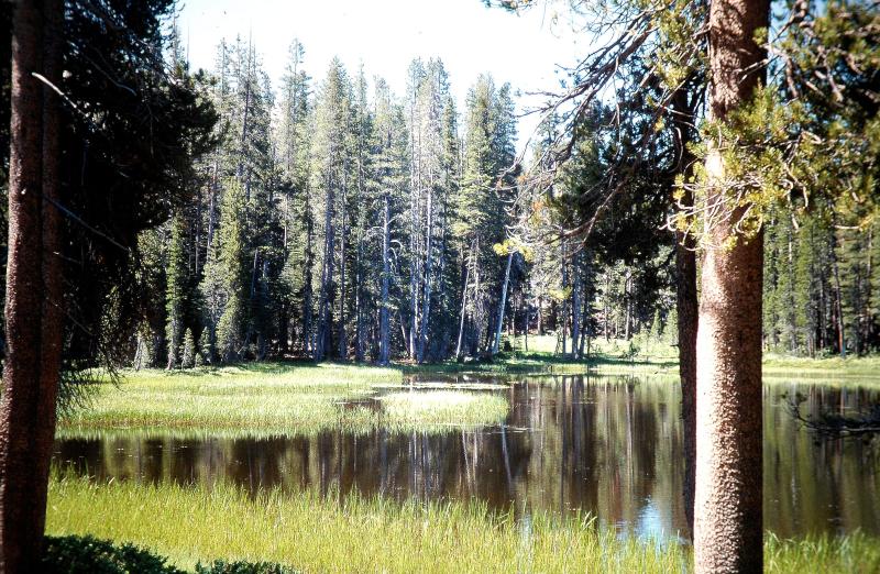 Yellowstone.California