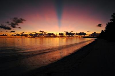 DSC_4029BeamMeUpScottyFxSh2_33.jpg