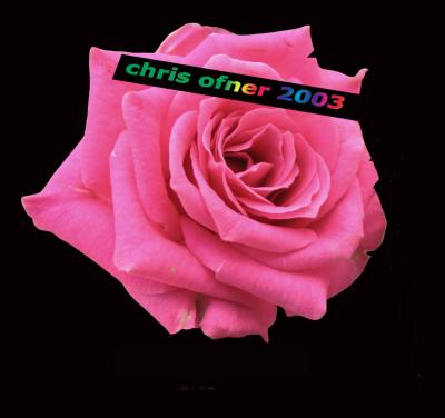rose004.jpg