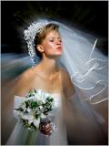 Themes- 20.JPG