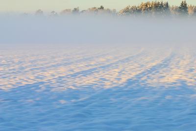 Foggy white field