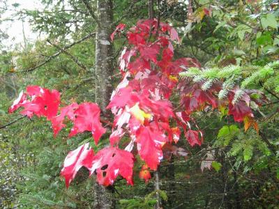C'est pour ca que nous sommes venus: les couleurs