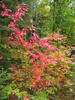 Couleurs  Val David