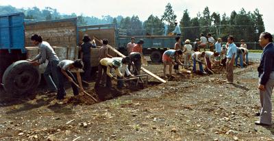 u21/philinnz/medium/35142946.bigdig2_900.jpg