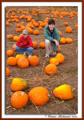 Born in a Pumpkin Patch 10-2004