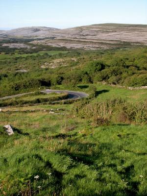 The Burren (Co. Clare)