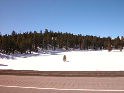 Mammoth 182.jpg