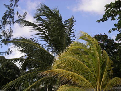 Barbados 19.jpg
