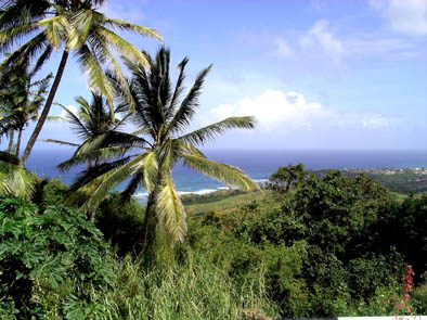 u21/placesandseasons/upload/35058110.BarbadosEastCoast3.jpg