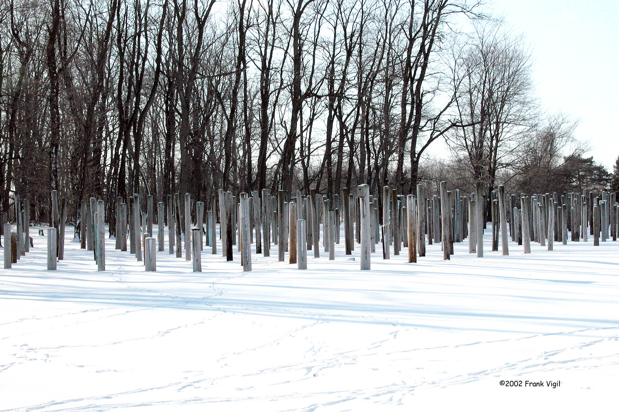 Telephone Pole Farm.jpg
