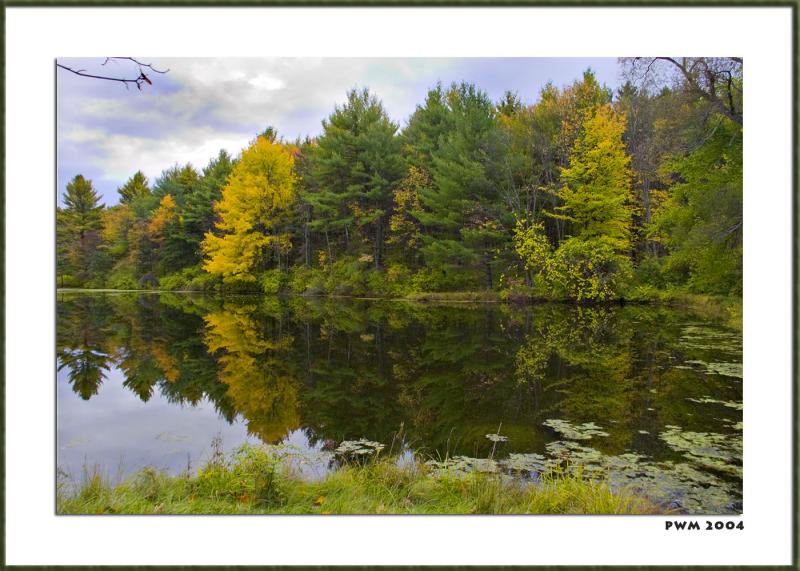 Autumn Pond