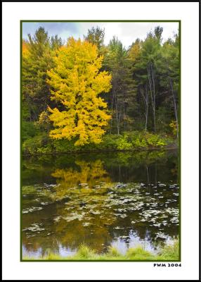 Autumn Pond II