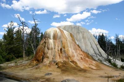 Orange Spring Mound