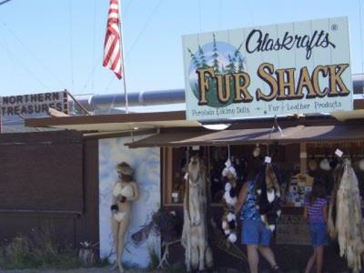 Anyone for fur?