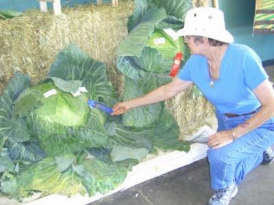 Checking out a 50 pound cabbage at the fair in Fairbanks.