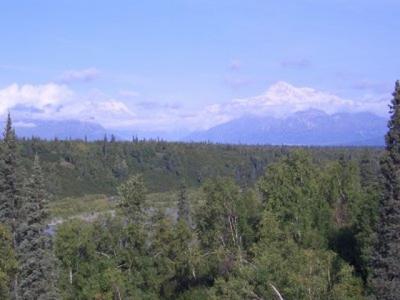 The skies cleared and we saw Mt. McKinnley.
