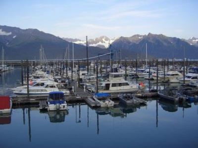 The harbor at Seward.