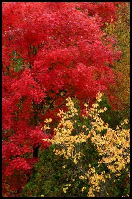 Autumn light #05