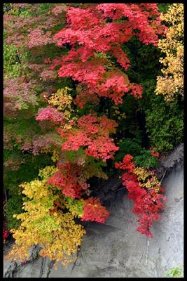 Autumn light #07
