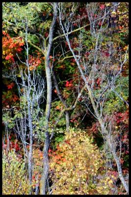 Autumn light #12