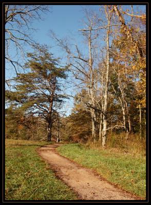 JPG SB Pathway DSC_4151.jpg