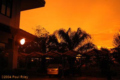 After a rain storm - no colour changes just re-sized and sharpened for the web