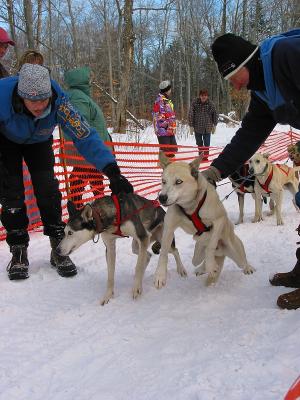 Meacham Lake Dog Sled Races, December 2002