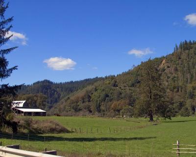 Oregon Coast Tuesday 204.jpg